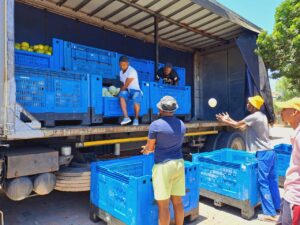 Overcoming logistical hurdles to feed vulnerable communities: A case study by SA Harvest, DSV, and CHEP unite to deliver surplus produce across the Eastern Cape