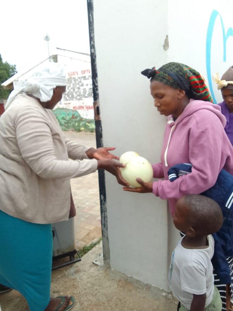 Melon distribution in Bethalsdorp