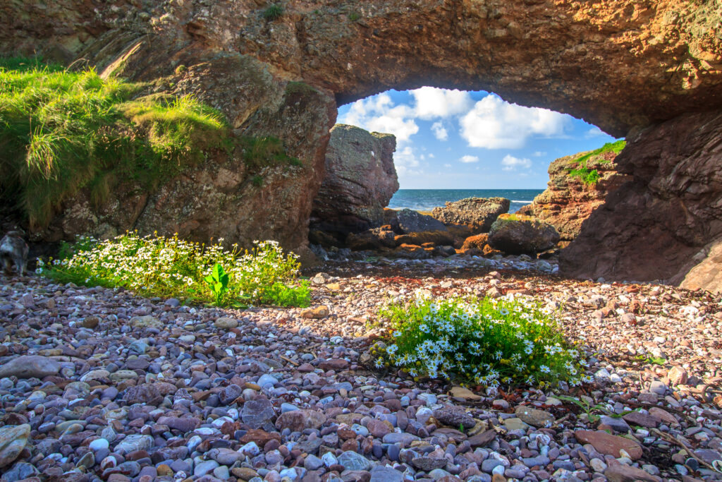 Langness, Isle of Man. Photo credit Roelf Odendaal